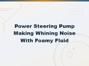 Power Steering Pump Whining with Foamy Fluid